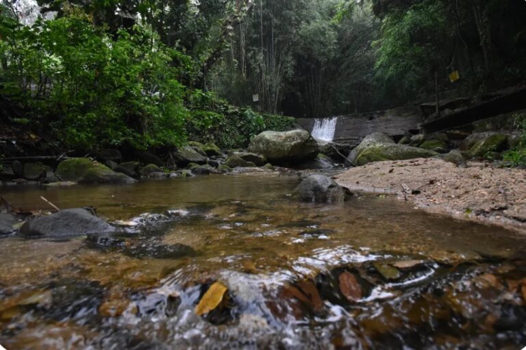 Cachoeira do Espraiado é reconhecida como Patrimônio Cultural e Turístico do Estado do Rio de Janeiro