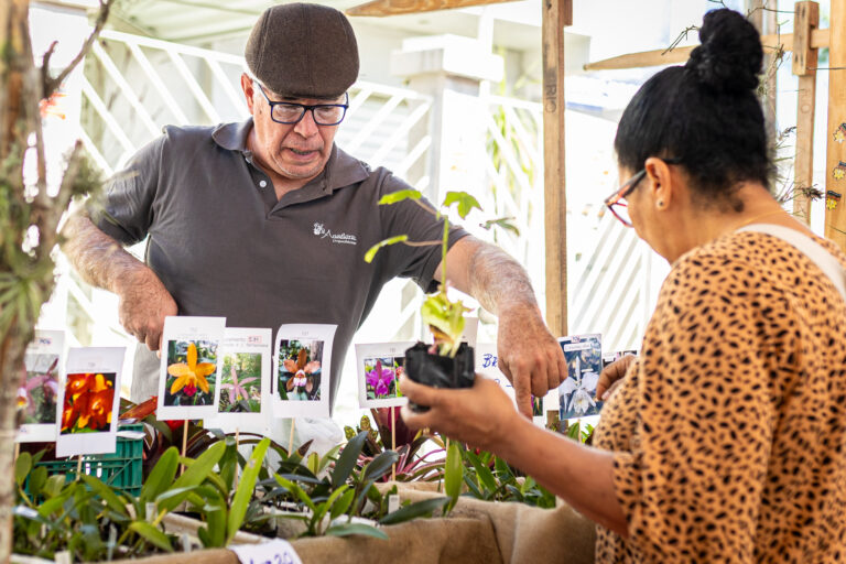 Feira de Agricultura Familiar acontece neste sábado em Itaipuaçu com produtos orgânicos e artesanato