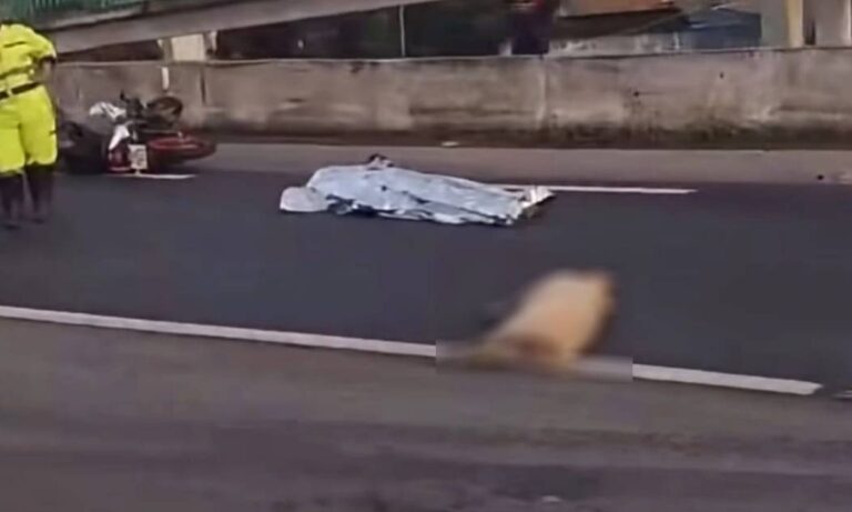 Motociclista morre após atropelar porco na BR-101, em São Gonçalo