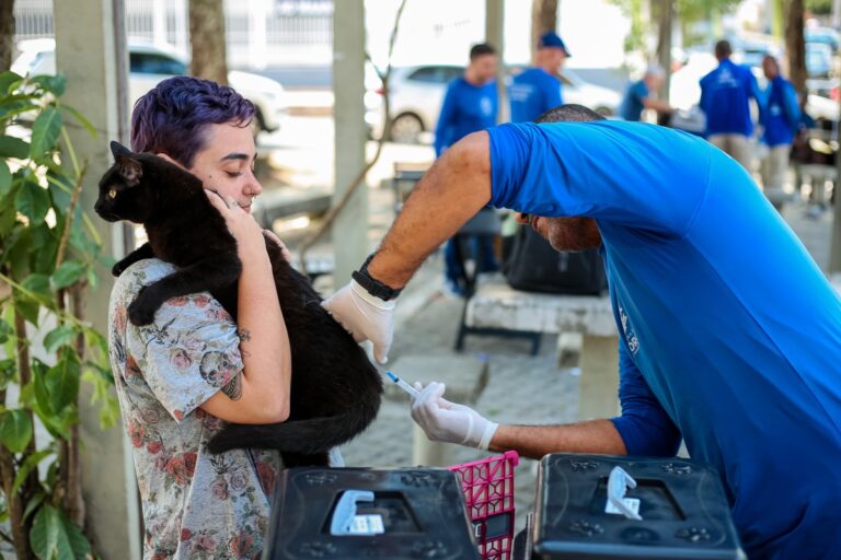 Itaboraí inicia vacinação antirrábica gratuita para cães e gatos; confira a programação de setembro